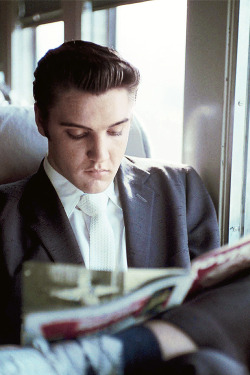 vinceveretts:  Elvis on the train to Memphis, July