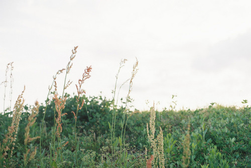 bittens:untitled by qrumipan on Flickr.