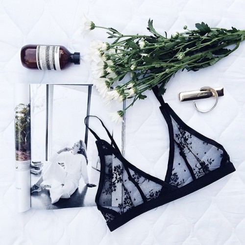 toffeely: rhenegade: + // stay classy xx t o f f e e l y