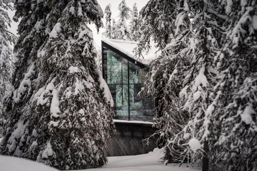 Luxury Cabin in Finland