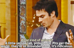 salvatore-vampire:  Ian Somerhalder on Live! with Kelly and Michael (October 17,
