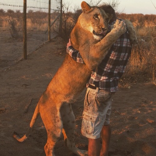 tumblr photo cynderhe11a 0