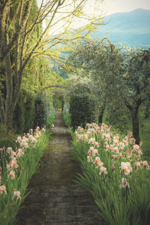 madabout-garden-design: Garden design by Federico Forquet, in his country retreat near Cetona, Tusca