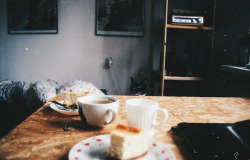 euphoriette:cheesecake and cat by ludwisiak