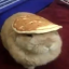 wilmashroom
