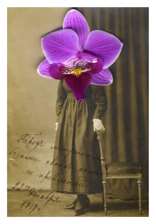 photojojo:  In Running to the Edge, Julia Borissova takes vintage photos of Russian immigrants and transforms them with simple flower petals. The antiquated photos are shades of black and white, but the flowers add an interesting splash of color that