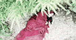 klnjones-blog:  Everyone thinks of [fairy tales] in terms of poisoned apples and glass coffins, and forgets that they represent girls who walked into dark forests and remade them into their own reflections. 