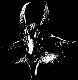 Dragon Rising