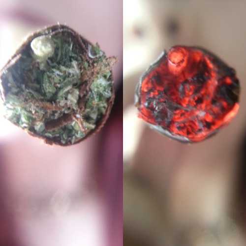 dabgoddesss:get high with meInstagram - dabgoddesss