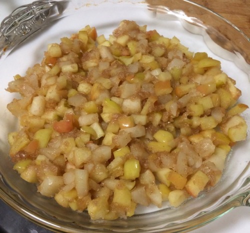 copperbadge:FIRST COOKING DAY IN THE SPEAKEASY! I’m making apple-pear crumble, challah, and refried 