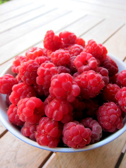 teenshealthandfitness:  Berries! 