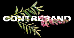 muntasirmohamed: Floral type for Contreband