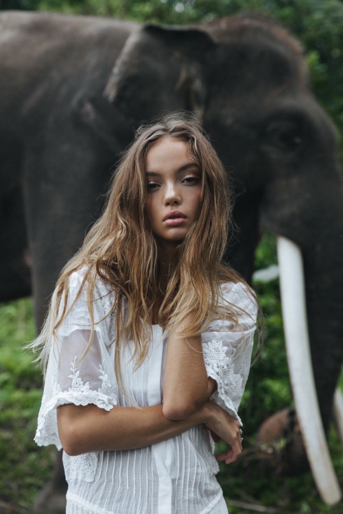 inka-williams: In a perfect world, wildlife sanctuaries would be obsolete and animals would roam f