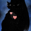 blackcatphilosophy
