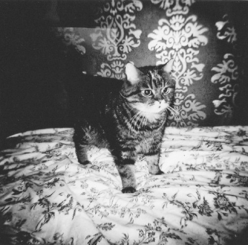 Billy some years ago, taken with an analogue camera, holga.