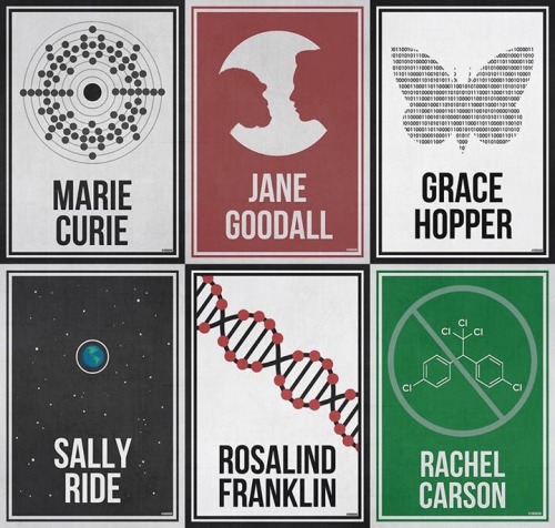 hydrogeneportfolio:The complete ‘Women Who Changed Science - And The World" collection in honor