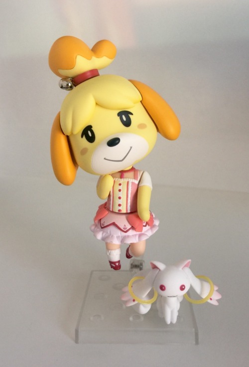 hotdiggedydemon:  Isabelle makes a horrible mistake 
