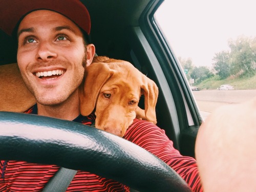 peteramend:  Puppy’s first road trip. Can’t say it was comfortable to drive like this, but how can you refuse that face?
