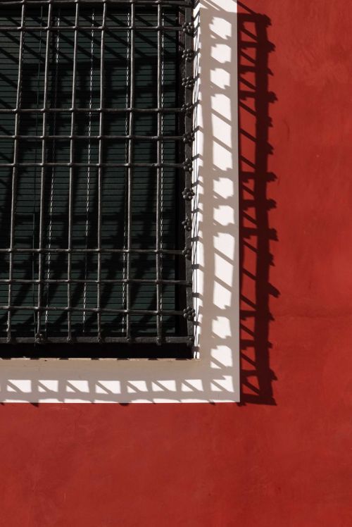 blushingcheekymonkey:eduardo seco