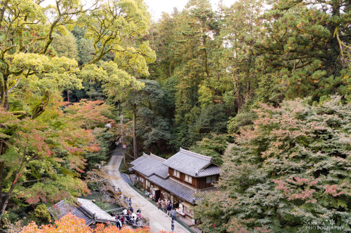 書寫山 圓教寺今年は少し早めに行ったのでまだ紅葉の色づきが僅かでした。新しくカメラを買ったのでお試しShoshazan Engyo-ji Temple colored in autumn.