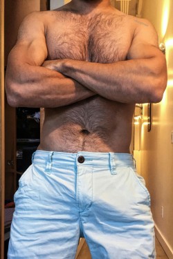 mydaddyishairy:   My Daddy is Hairy - over