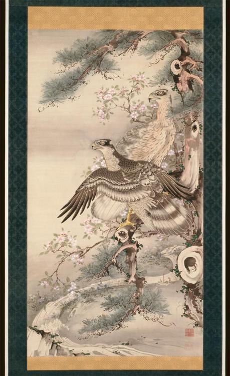 Pair of Hawks with Branch and BlossomsSoga Shōhaku (Japanese; 1730–1781)1770sInk, color, and gold on