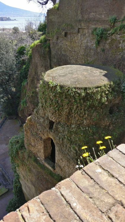 sedregina:A few days ago I visited what is traditionally thought to be Vergil’s tomb, in Naples. The