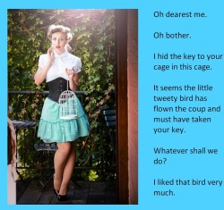 Oh dearest me.Oh bother.I hid the key to your cage in this cage.It seems the little tweety bird has flown the coup and must have taken your key.Whatever shall we do?I liked that bird very much.