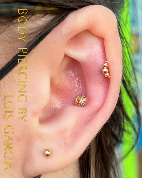 Fresh conch piercing with an 18kt yellow gold Hera end from @anatometalinc #safepiercing #12ozstudio