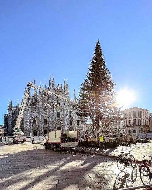 #italia  #Buongiorno ragazzi, iniziano i preparativi per l’accensione degli alberi di Natale nelle p