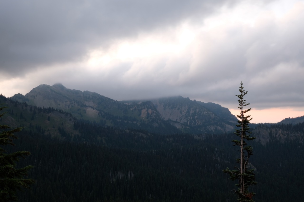 jenifir-juniper:End of the day in Mount Rainier National Park