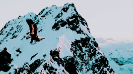 glorfindels:lord of the rings: the fellowship of the ringthe light of the clear autumnmorning was no