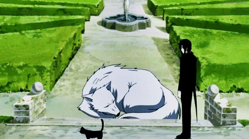 asmasama:  >wwww<