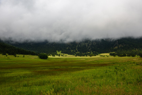 daskibum: Sun breaking through low clouds.  Elk Meadows.