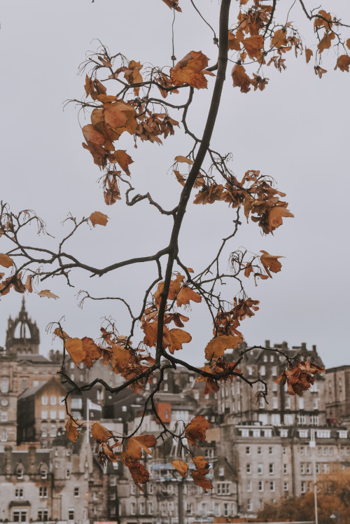 galadrils:  edinburgh, scotland
