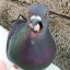 dunecmbyntevanenthusiastic