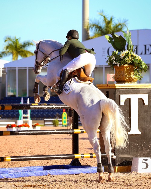 photos-by-sam:  1.40 class at wef