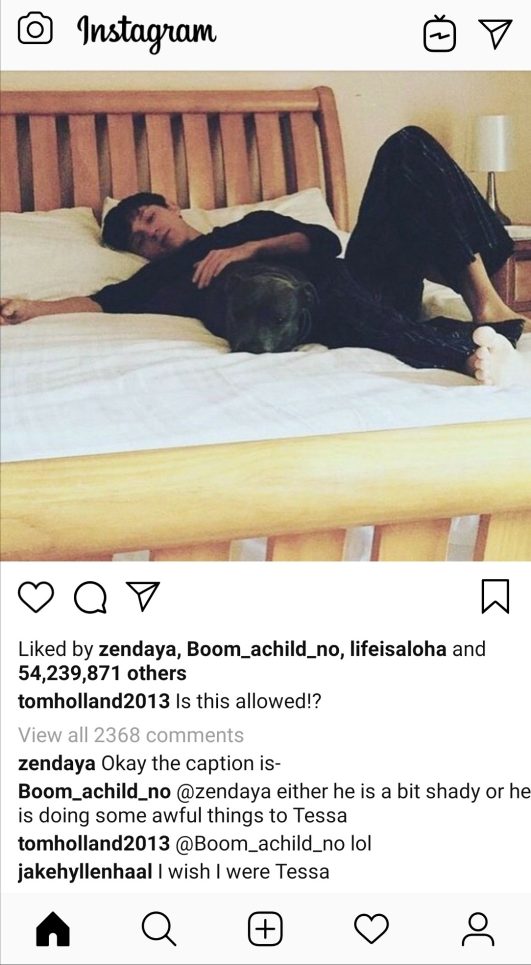 Tumblr media