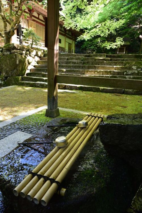 norisunorin:滋賀県 東近江市 百済寺 Siga Higashiomi Hyakusaiji 