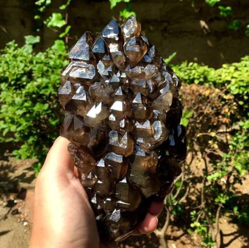 geologyin-blog: One of the most beautiful elestial smoky quartz pieces. Incredible Luster. Complete 