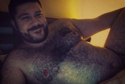 bebarnice:  bearso:  More bears?,Follow me! ↘BEARSO!   Mmmm 