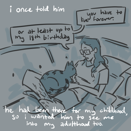 The Loss Of A Pet
