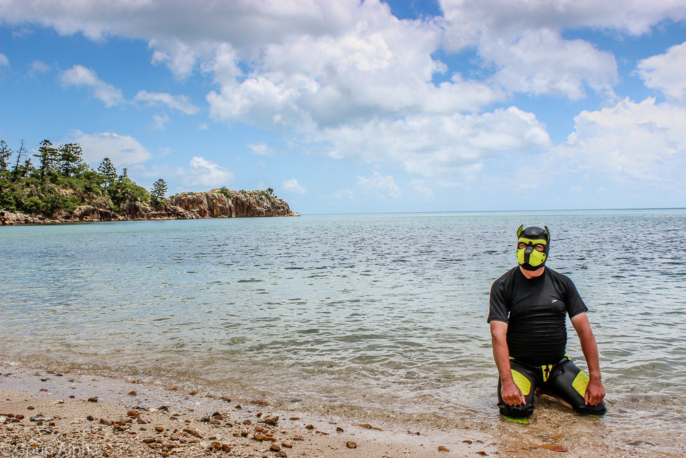 Love this image of pup play in AustraliaPhoto: Gpup AlphaLocation: Hayman Island