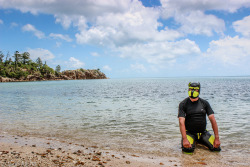 Love This Image Of Pup Play In Australiaphoto: Gpup Alphalocation: Hayman Island