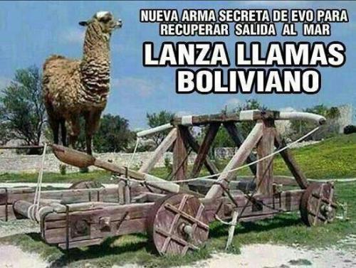 jaidefinichon:  Prepare Yours Anus Chilenos.. Saludos pal gabrielailo de Calama