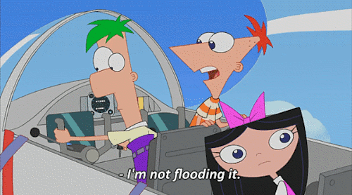 "I'm not flooding it," Ferb retorts.