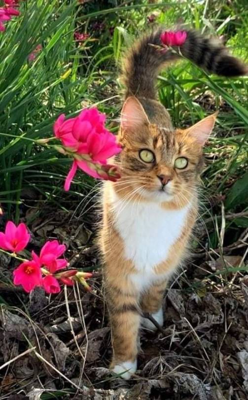 03011944he-blog - Helena