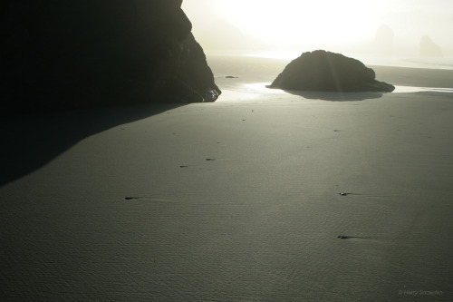 Sun breaking the coast range - OregonHarry Snowden