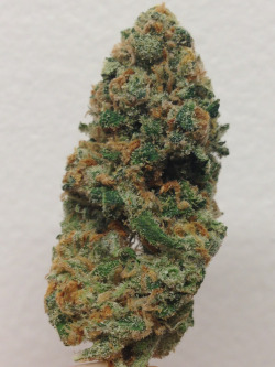 ktuckmastaflex:  Strawberry Kush