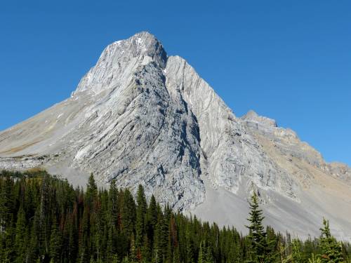 rockon-ro:  This is some fantastic geology in the Rocky Mountains of Alberta, Canada. The high angled thrust faults, that built the Rocky’s height, can be seen on this mountain. Interpretation of a few thrust faults are shown on the upper photo. 